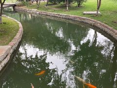 -春风习习