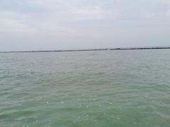 -合肥滨湖国家森林公园