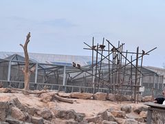 -太原动物园