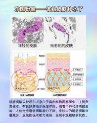 -成都西区医院整形美容