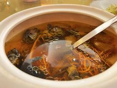 -白金汉爵大酒店-24小时餐厅