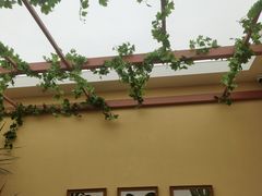 -LANN I 蘭·泰式古法按摩(长宁来福士东八区店)