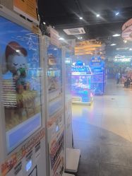 -卡通尼·Safari非洲探索乐园·生日会(金桥国际商业广场店)