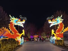 -南宫五洲植物乐园