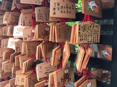 -有栖山 清光院 清水寺