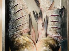 -姥家大锅台水库渔家