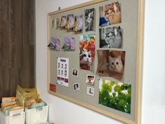 -柯达靓之彩影像网络(明瓦廊店)