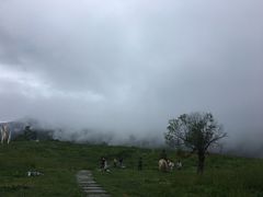 -硗碛藏寨·神木垒景区