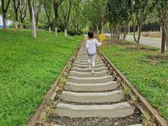 -永定河休闲森林公园