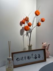-DELAVAY黛乐薇抗衰中心