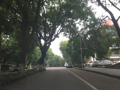 -1点点(东方宝泰店)