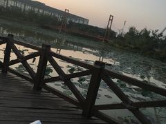 -祥源·阜阳生态乐园