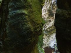 -牛背梁国家森林公园