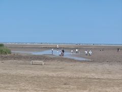 -启东黄金海滩景区