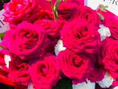 -循礼门鲜花花市(武汉循礼门店)