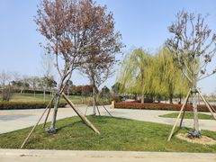 -郑东新区龙湖公共艺术中心