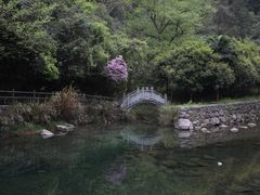 -宁波五龙潭景区