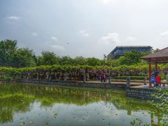 -嘉定紫藤园