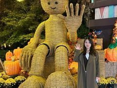 -郑州方特梦幻王国