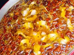 -雲蜀龙阁·金牌水煮鱼(方庄店)