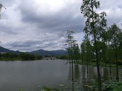 -飞来湖湿地公园