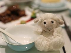 -蝶园·装修中(BFC外滩金融中心店)