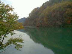 -嘉华国际旅行社有限公司