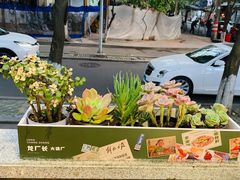 -龙厂长老火锅(抚琴店)