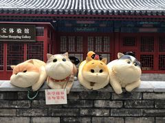 -故宫餐厅(景运门店)