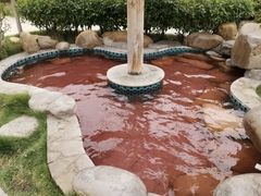 -汤泊温泉度假村