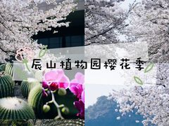 -上海辰山植物园