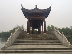 -飞来湖湿地公园