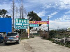 -小鱼草莓采摘园农家乐·小鱼餐厅