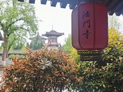-法门文化景区