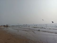 -老虎石海上公园