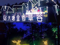 -大塘金香草谷