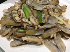 -金蝉食府(维吉奥广场店)