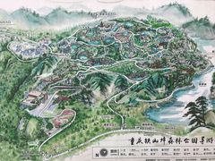 -铁山坪森林公园