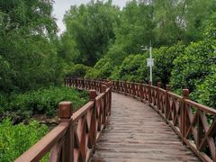 -大亚湾红树林城市湿地公园
