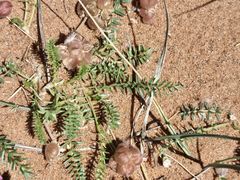 -波浪谷