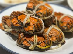 -杨氏青龙虾·羊肉季(金盛路总店)