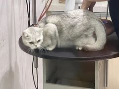 -宠颐生动物医院·小陆分院