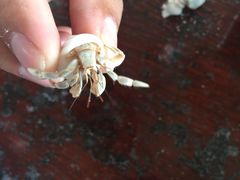 -环滩岛