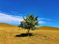 -塞罕坝国家级自然保护区