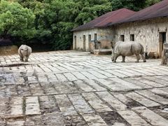 -杭州野生动物世界