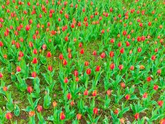 景点-长春公园(普阳街道)