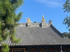 -护国法轮寺