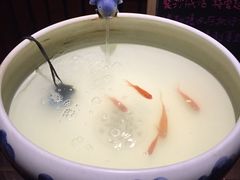 -好介口深夜酒馆(梅江店)