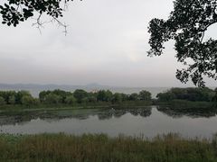 -上海市保健医疗中心(华东疗养院)