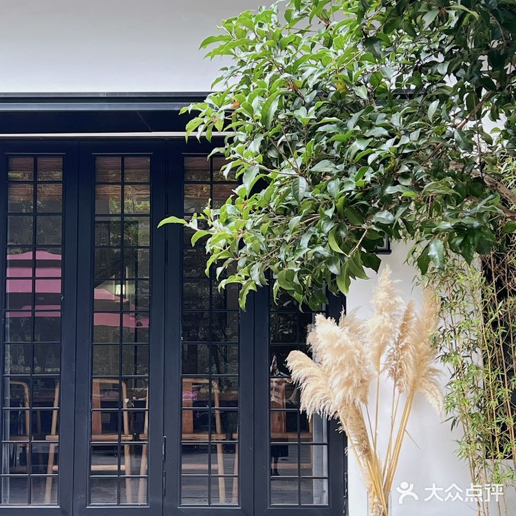 周末游玩好去处，竹林深处的竹园里